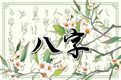 四柱结构：年月日时的分工